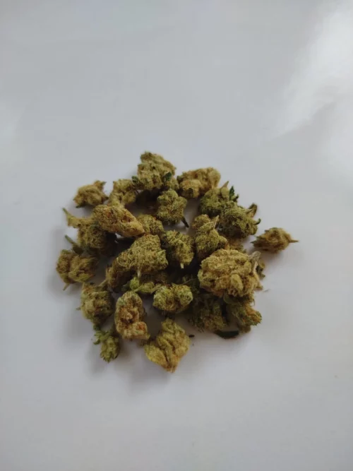 Small Amnesia CBD