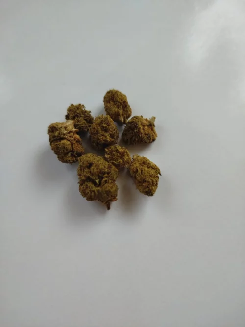 Small Candy Kush CBD - Le coffre à CBD au Mans