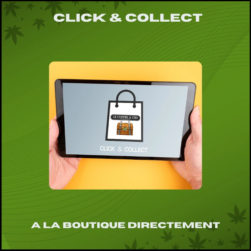 Click and Collect de CBD au Mans avec le Coffre à CBD Click and Collect de CBD au Mans avec le Coffre à CBD