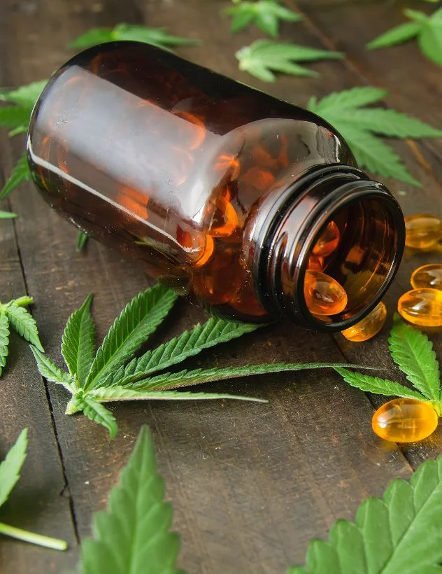 Gélules à base de CBD – Résine et Pollen de CBD – Le coffre à CBD au Mans Gélules à base de CBD - Résine et Pollen de CBD - Le coffre à CBD au Mans