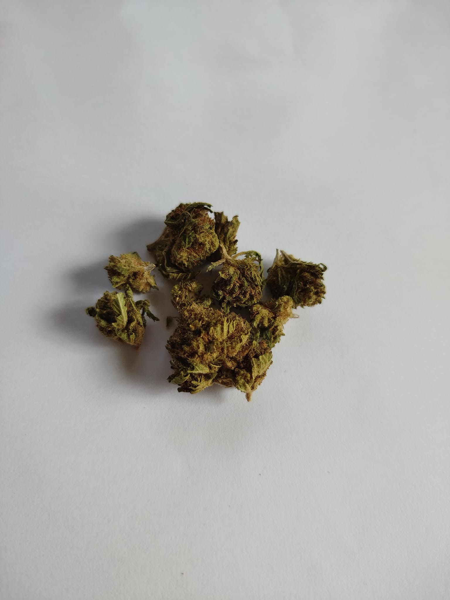 Small Lemon Haze CBD-CBG - le coffre à CBD au Mans